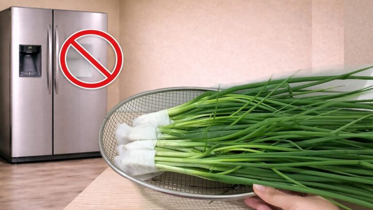 Dieser einfache Trick hält Frühlingszwiebeln einen ganzen Monat frisch ohne Kühlschrank…