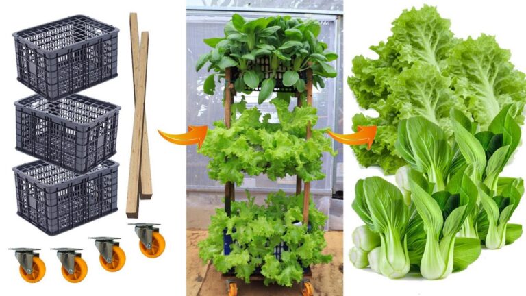 Dieser geniale Trick verwandelt Plastikbehälter in einen traumhaften Gemüsegarten…