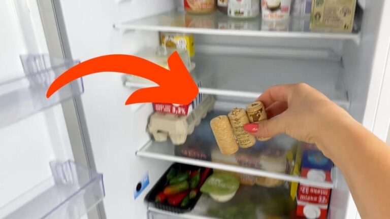 Diese geniale Verwendung von Weinverschlüssen wird deinen Kühlschrank völlig verwandeln…