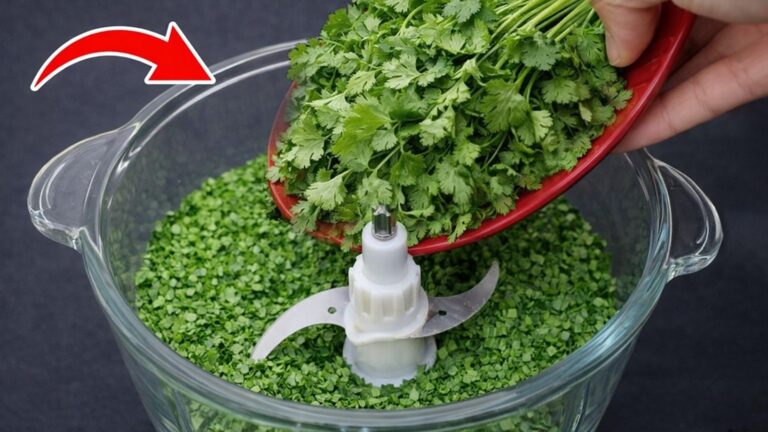 Dieser einfache Trick hält Koriander monatelang frisch und verhindert unnötige
