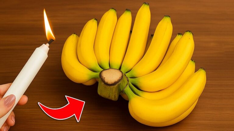 Ein alter Trick, um Bananen einen ganzen Monat frisch zu halten … du wirst überrascht