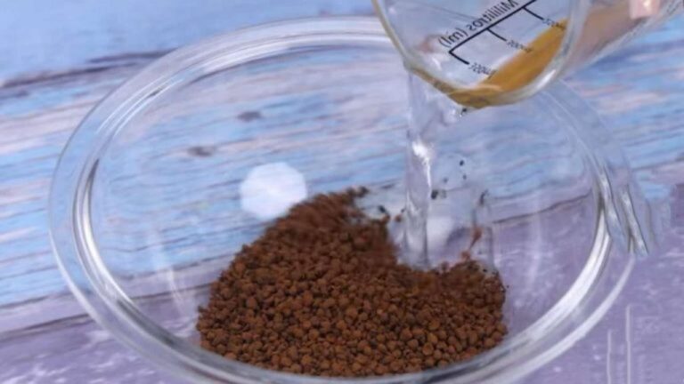 Kaffee mit Alkohol: Das geheime Rezept unserer Großeltern