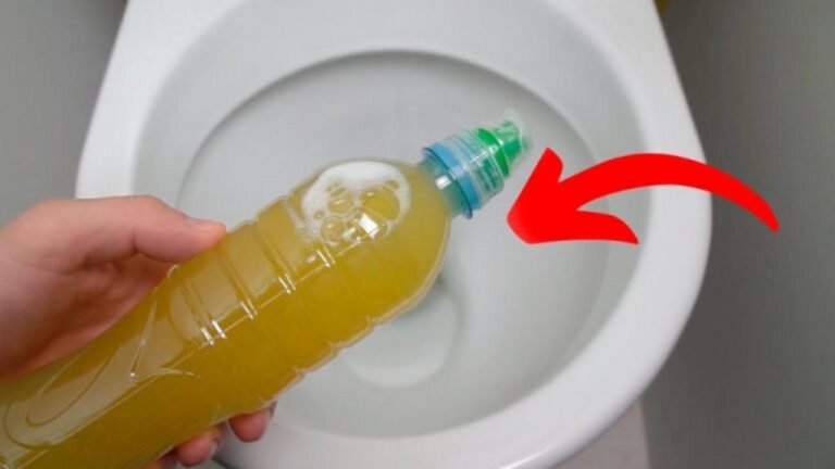 Die Klempner verschweigen es: Erlebe die Toilette-Revolution!