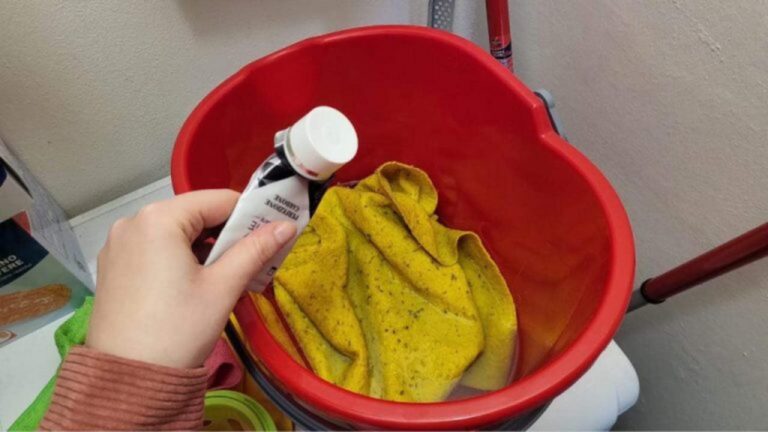 Zahnpasta ins Wasser für strahlende Böden – ein Geheimtipp!