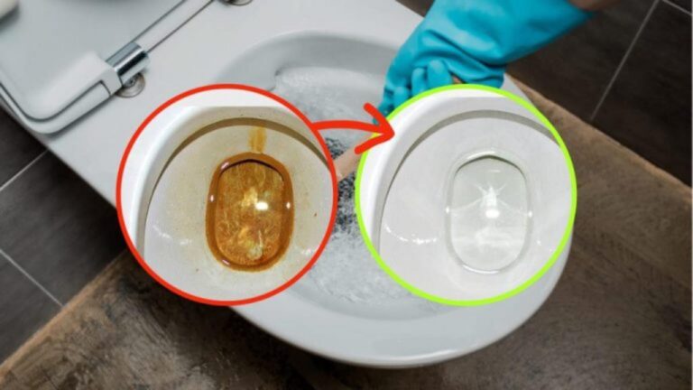 Die neue Methode: So entfernen Sie Schmutz und gelbe Flecken aus der Toilette!