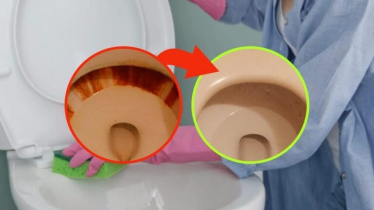 Rostflecken in der Toilette: Schnell und dauerhaft entfernen!