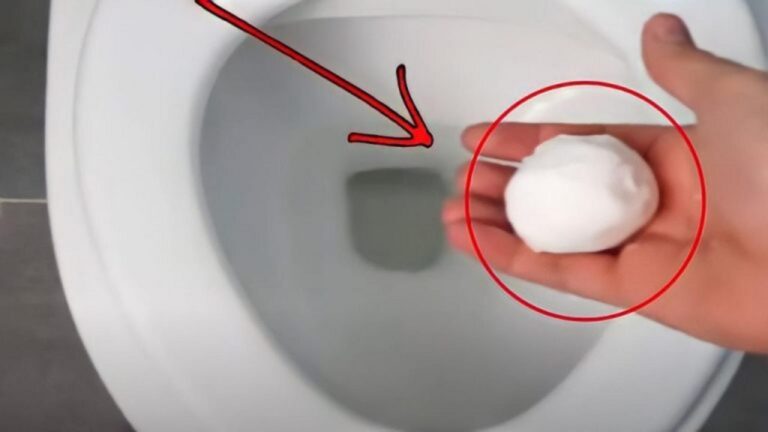 Beseitigen Sie Gerüche und Flecken im Handumdrehen!