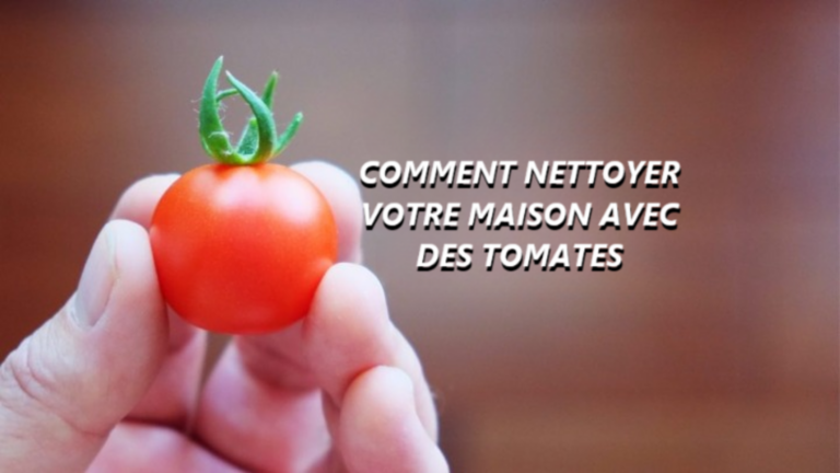 Reinigen mit Tomaten: 5 Tricks für glänzendes Zuhause!