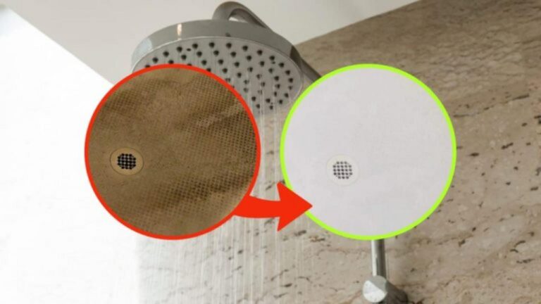 Dusche reinigen: Mit diesem Geheimtipp klappt’s sofort!