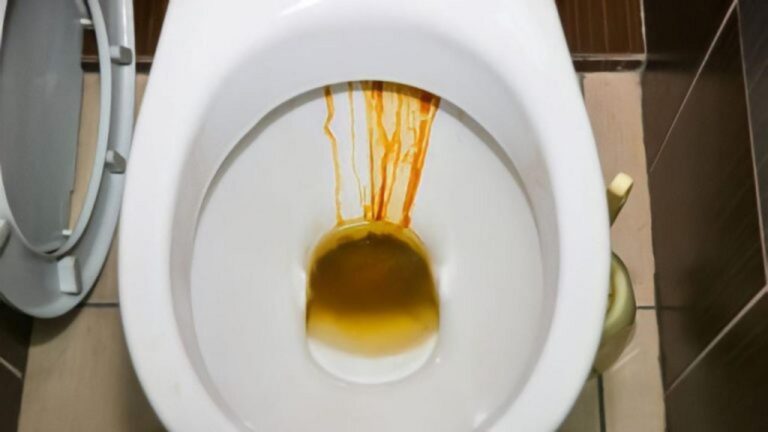 Braune Flecken in der Toilette? Mit diesen 2 Zutaten bleibt sie monatelang sauber!
