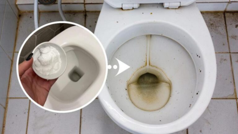 Tschüss Flecken in der Toilette: 100 % natürliche Methode