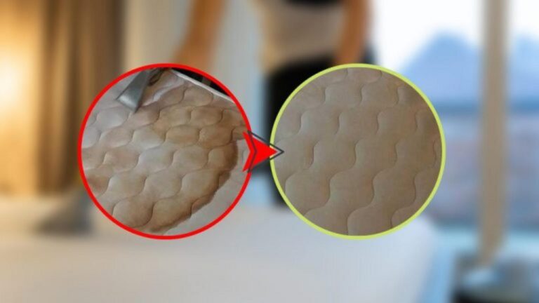 Fleckige Matratze? Hier sind natürliche Tipps zur Reinigung!