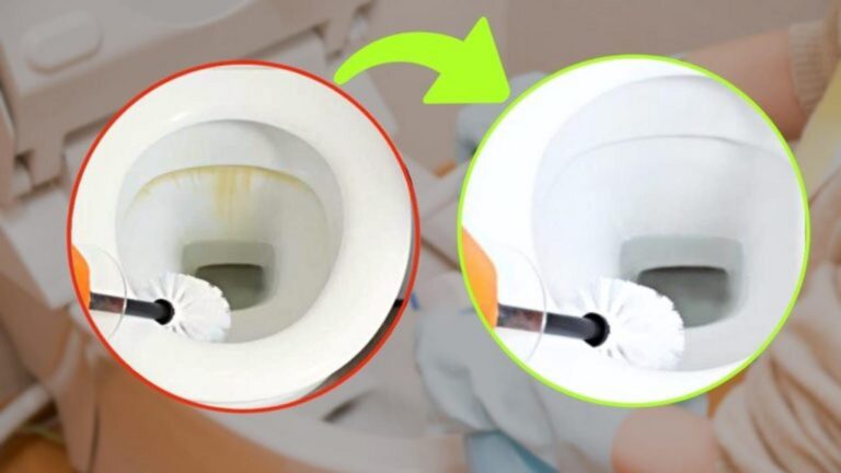 DIY Toilettenreiniger: Effektiv gegen Ablagerungen!