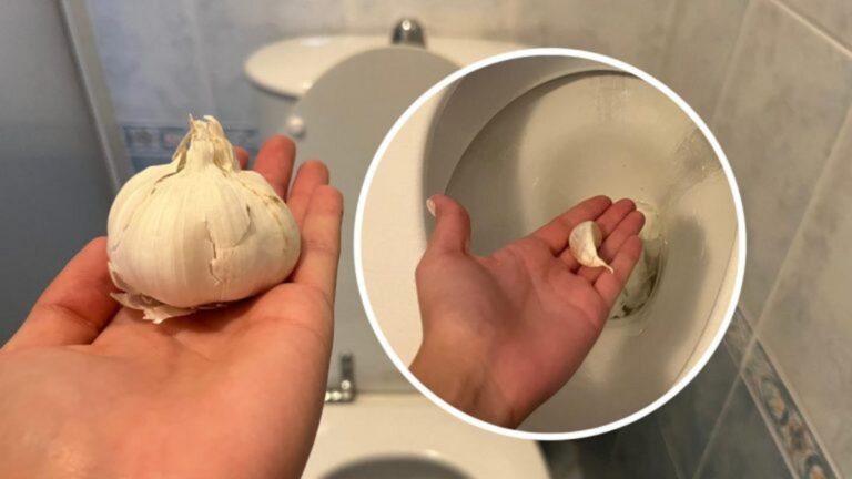 Knoblauch ins Klo werfen: Die erstaunliche Wirkung!