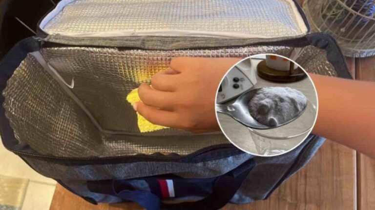 Kühlbox reinigen: So entfernst du mühelos alle Flecken!