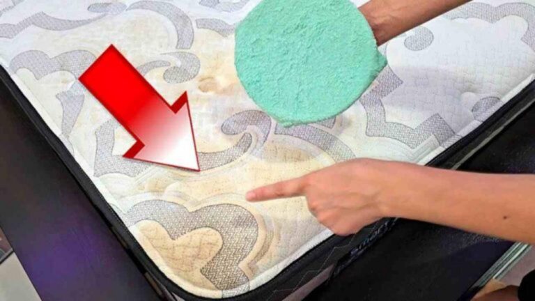 Die besten Tipps der Reinigungskräfte gegen Flecken auf Matratzen und Möbel