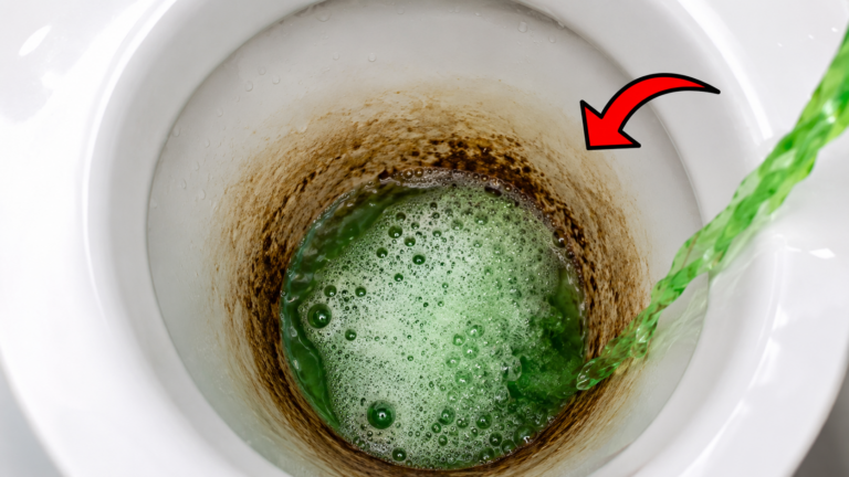 Toiletten von Urinstein und Kalk befreien: Mit dieser einfachen Mischung sehen sie wieder wie neu aus
